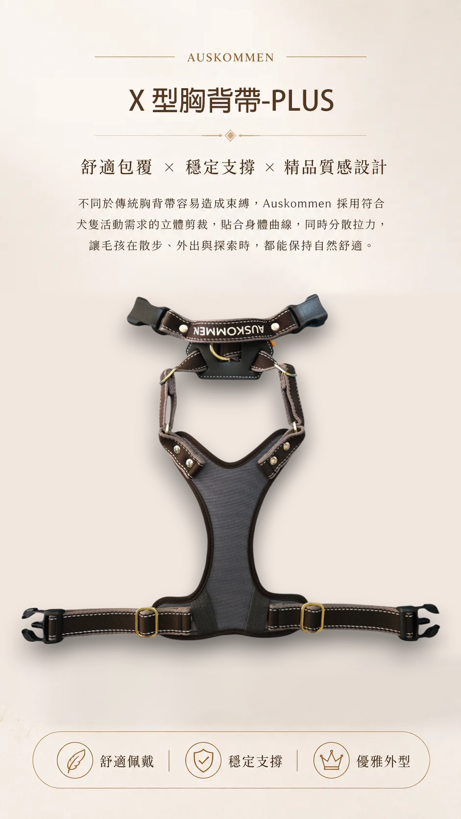 鉑金灰1