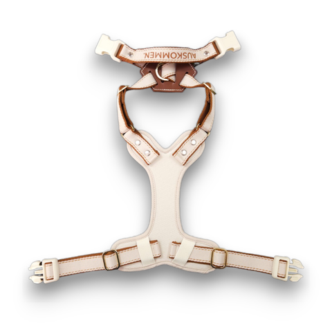 提把款1-Photoroom (2)