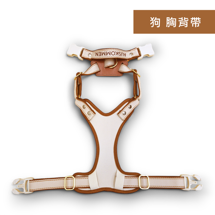 狗 典藏
