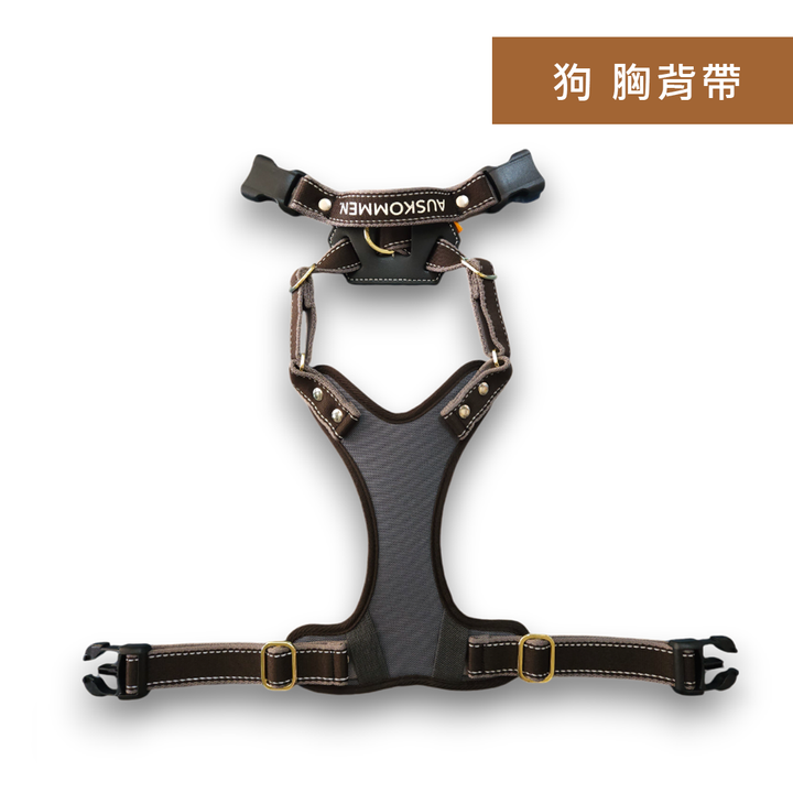 狗 黑灰色