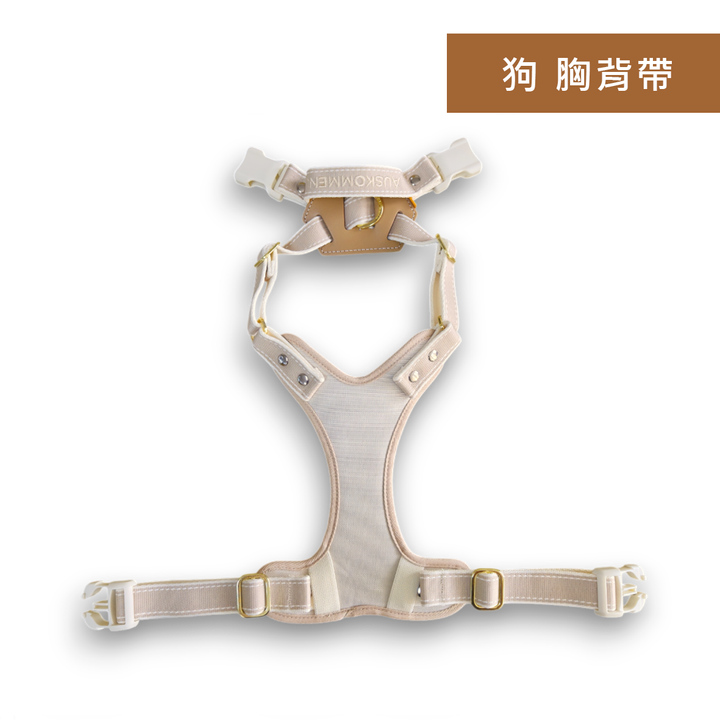 狗 米杏色