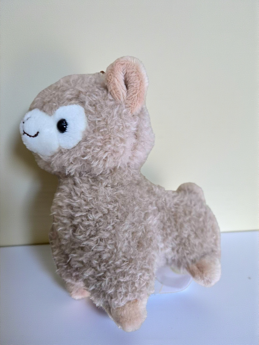 米色羊駝-Photoroom