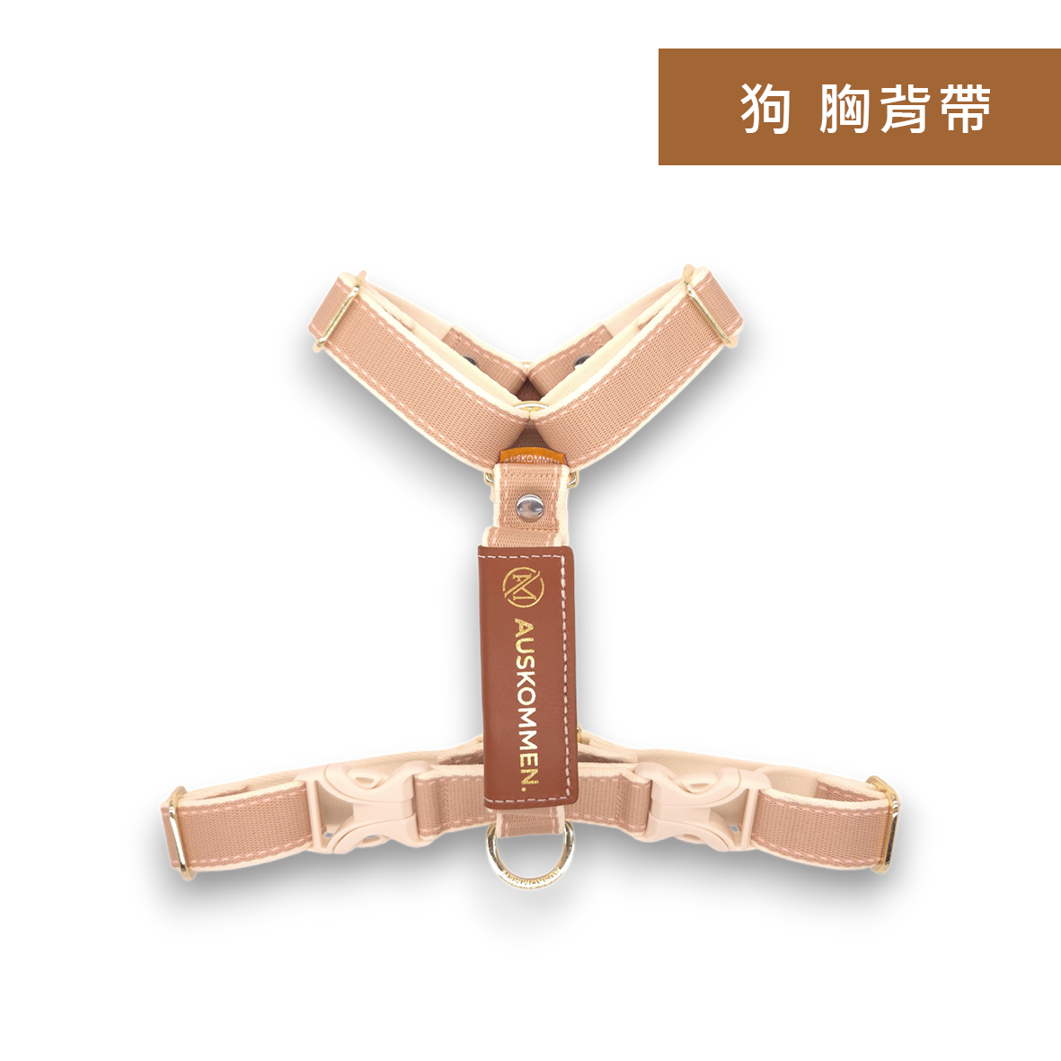 狗狗胸背帶尺寸怎麼量？胸圍量測教學與尺寸對照表