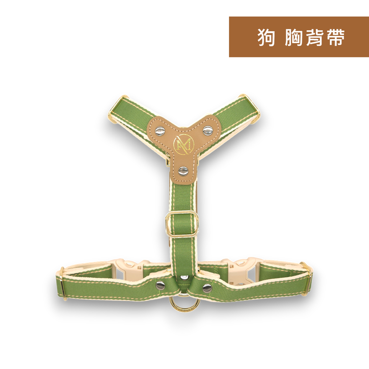 背面
