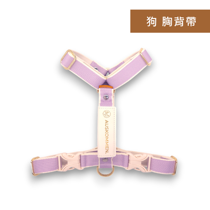 正面