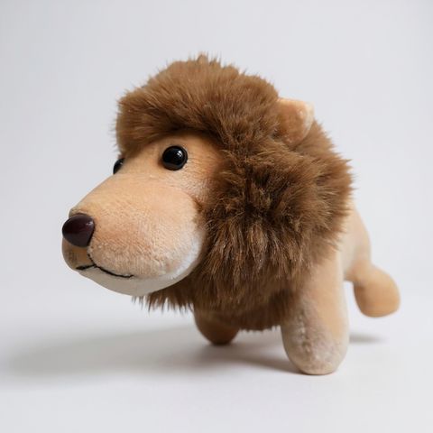 pro-shot-c392f47c-ae81-416a-84c1-cb5562256af8