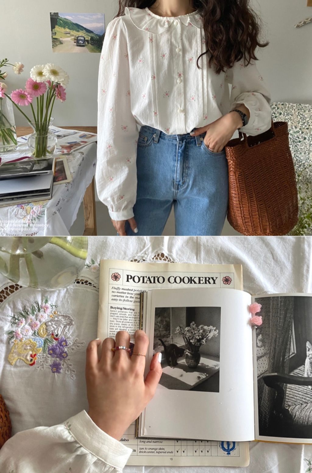 IMG_8179-1696023758240