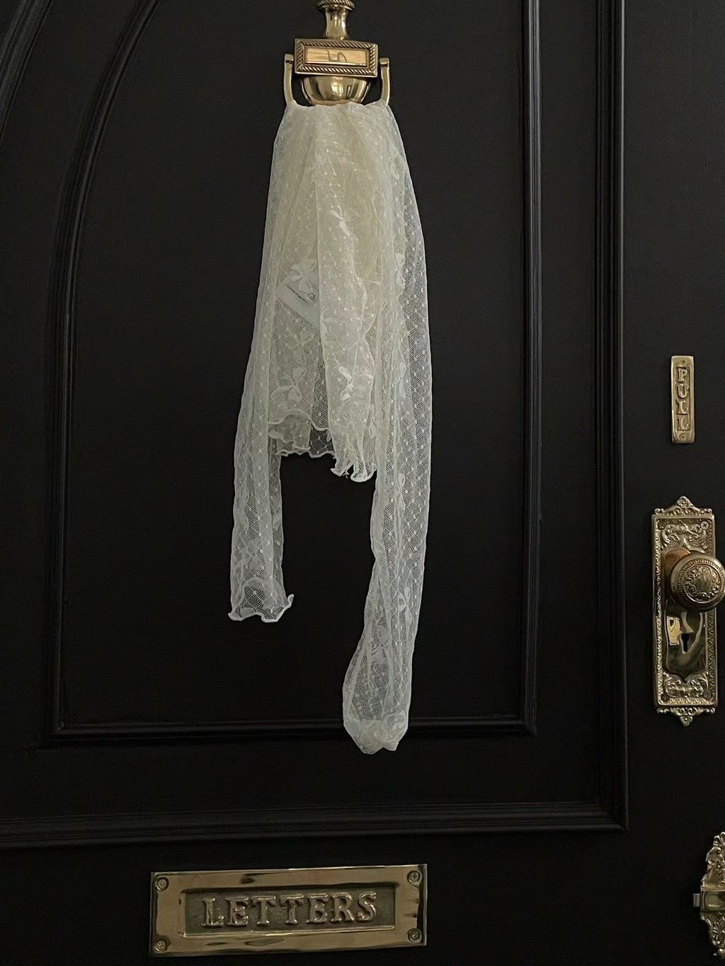 IMG_7495-1703269458679