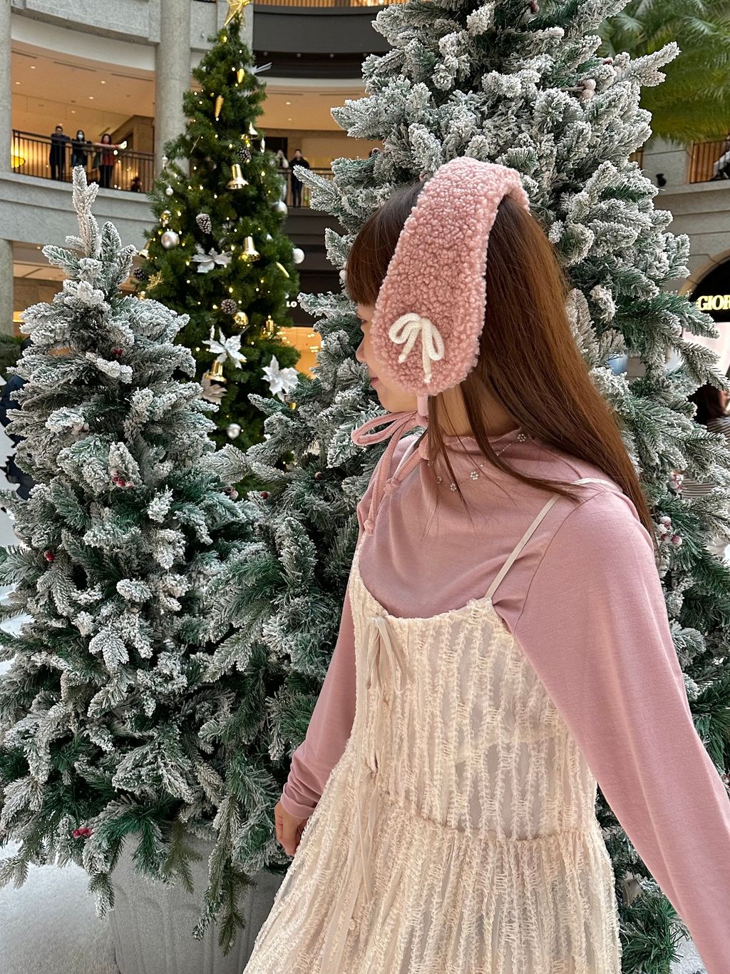 IMG_6537-1703293538924