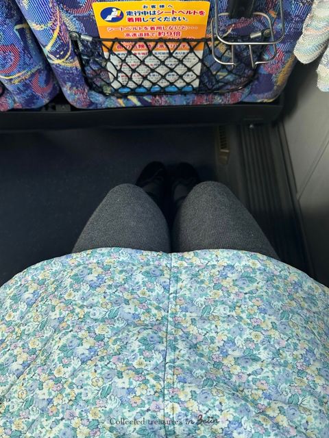 44603775-E5F1-43D1-B520-72ABF9F94907-1736162209923