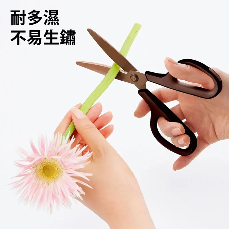 sg-11134201-22110-zxdo33l6t7jv64