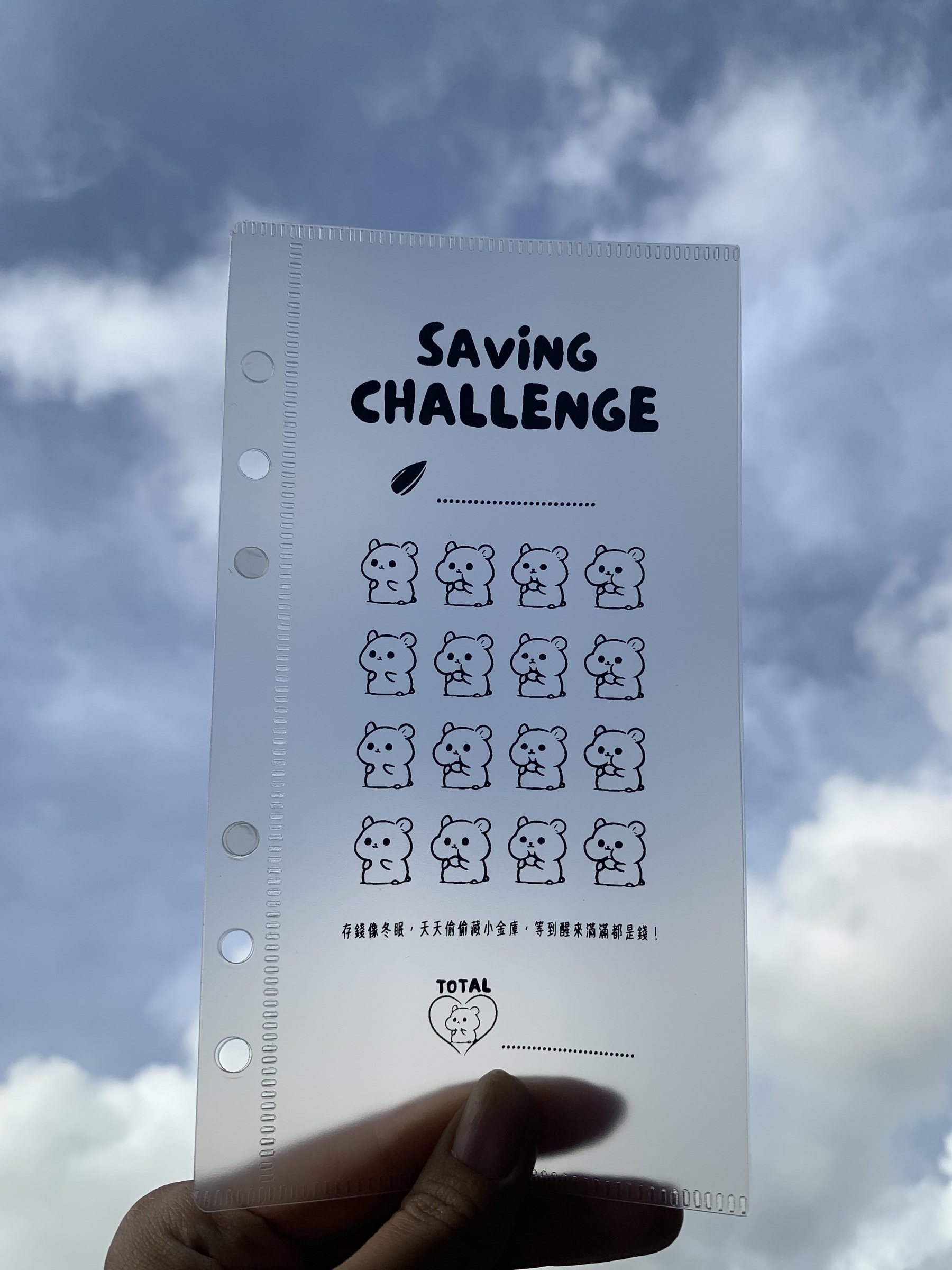 IMG_0202-1719628221596