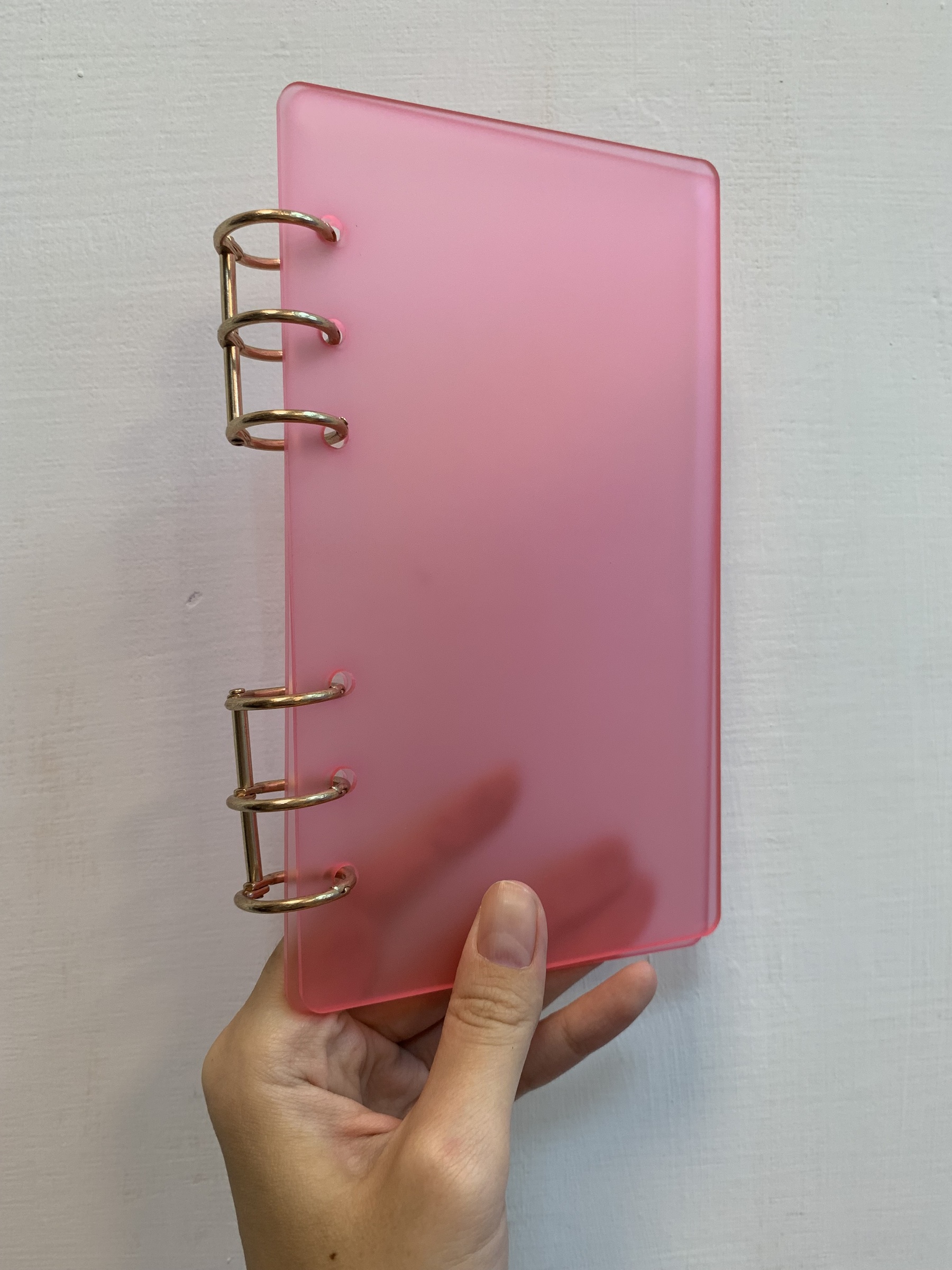 IMG_1175-1722389236883