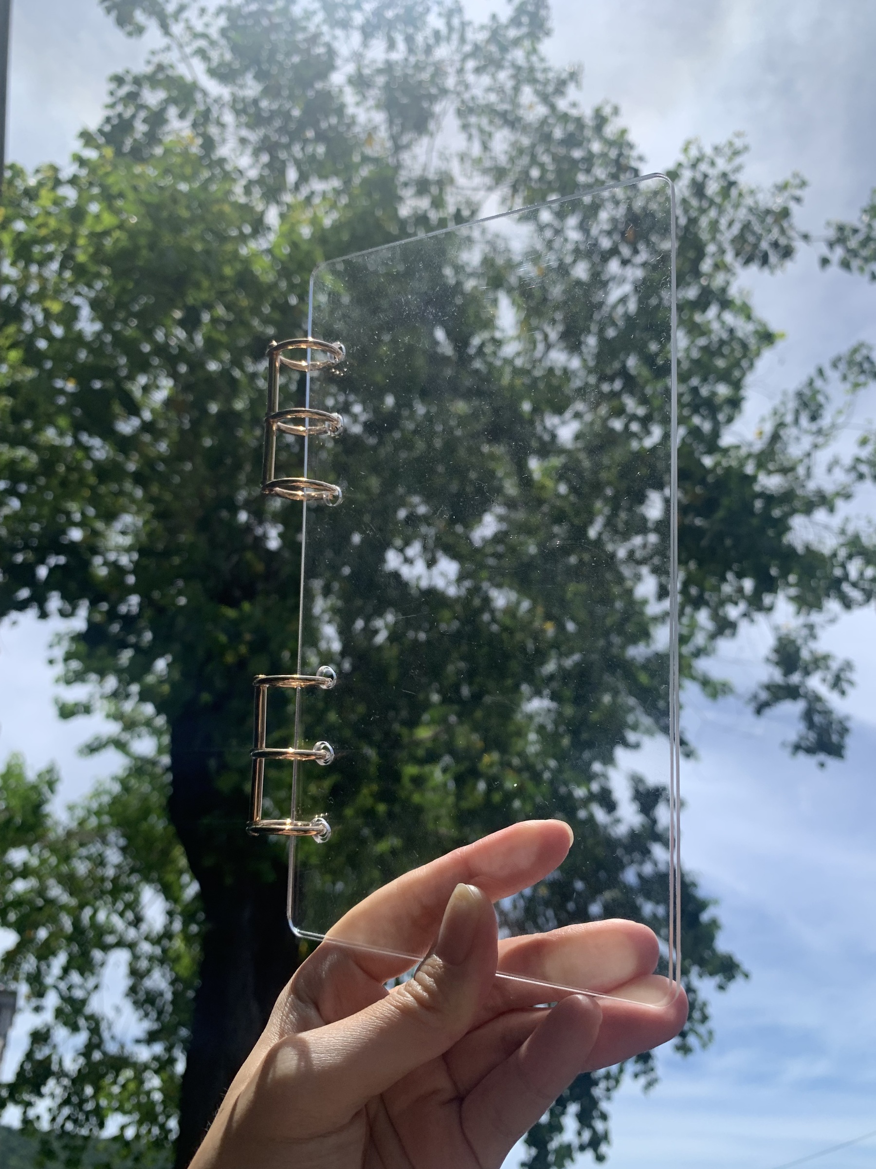 IMG_9993-1722389377838