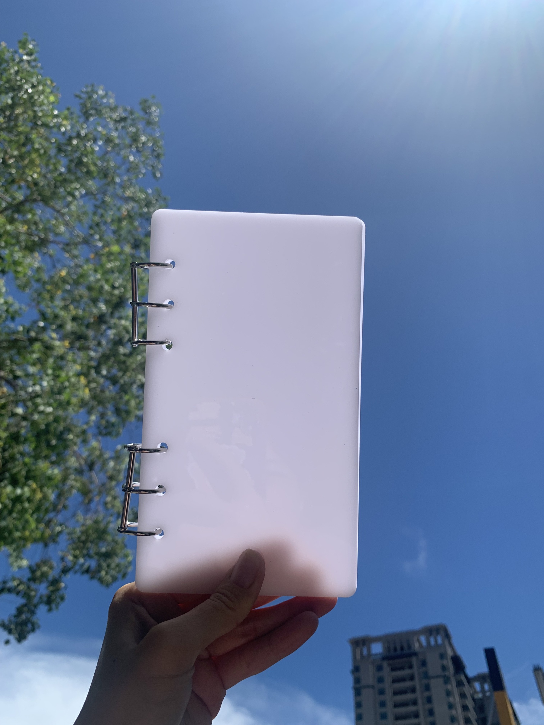 IMG_9970-1722389376986