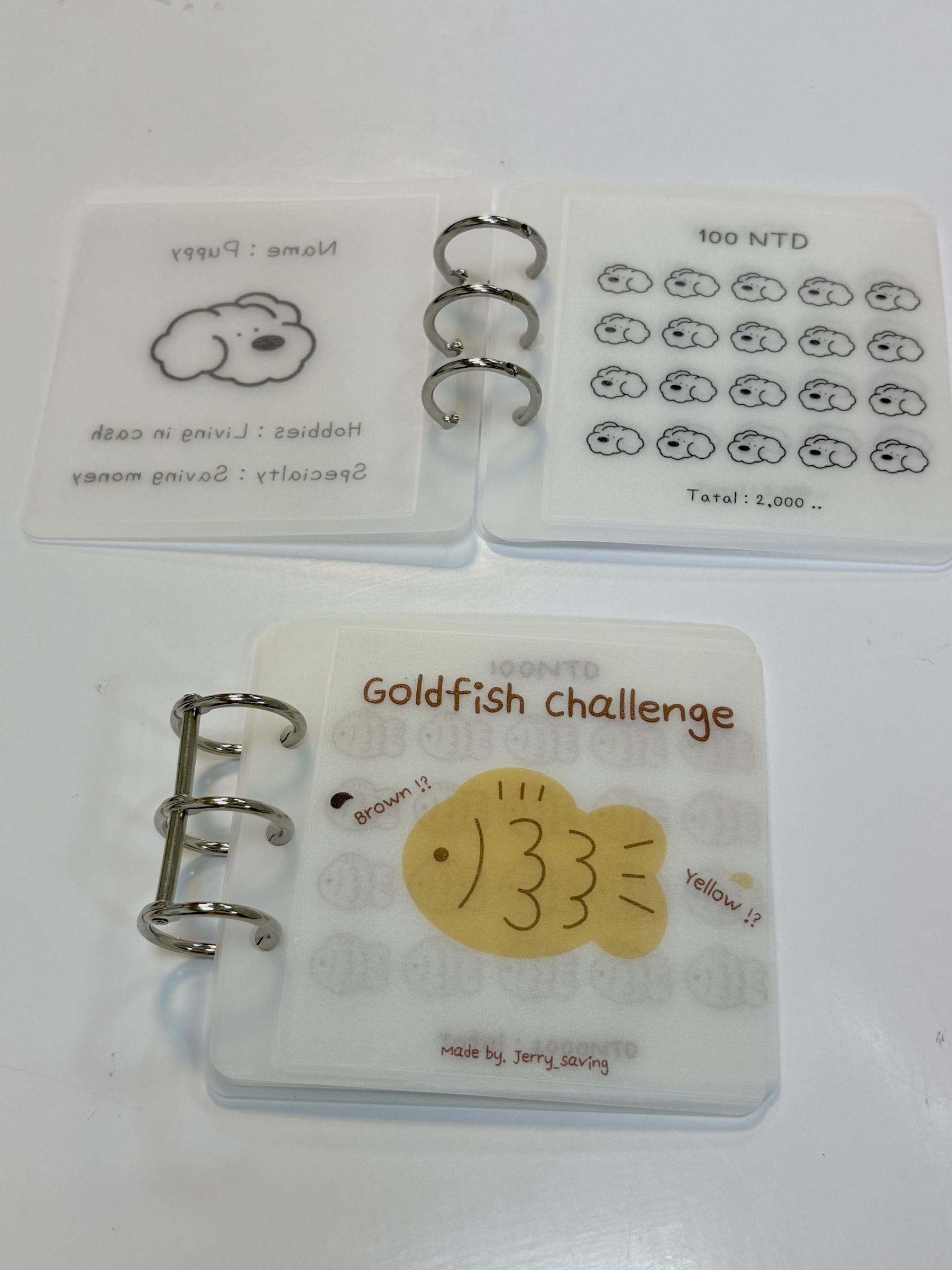 image_273648D1-693E-4CD8-AEAD-7C9BB04FD76D_1749735072