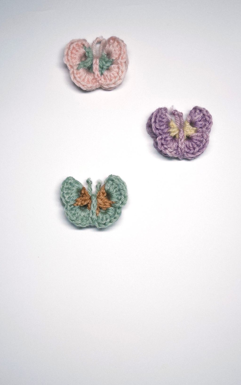 fxn 2024-03-01 084824.638