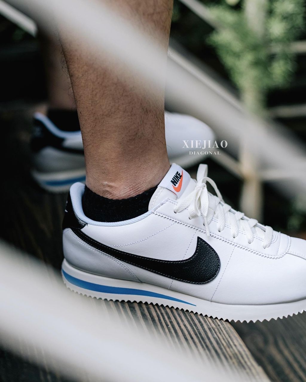 Nike Cortez White Black 黑白藍阿甘鞋 DM4044100