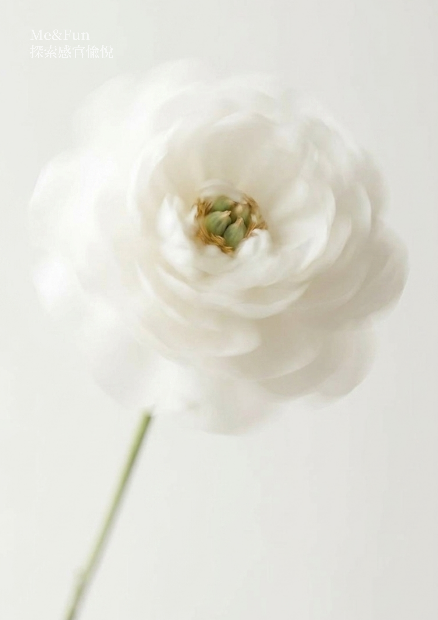 Neutral Luxury Classy Minimalist Elegant Art Ceramics New Collection Lookbook Product Catalogue A4 Document (10)