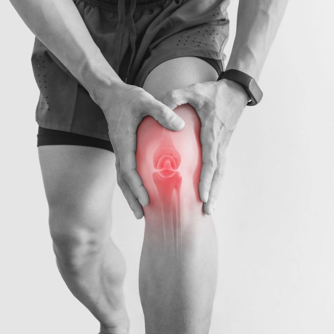 Colljoint |  - 