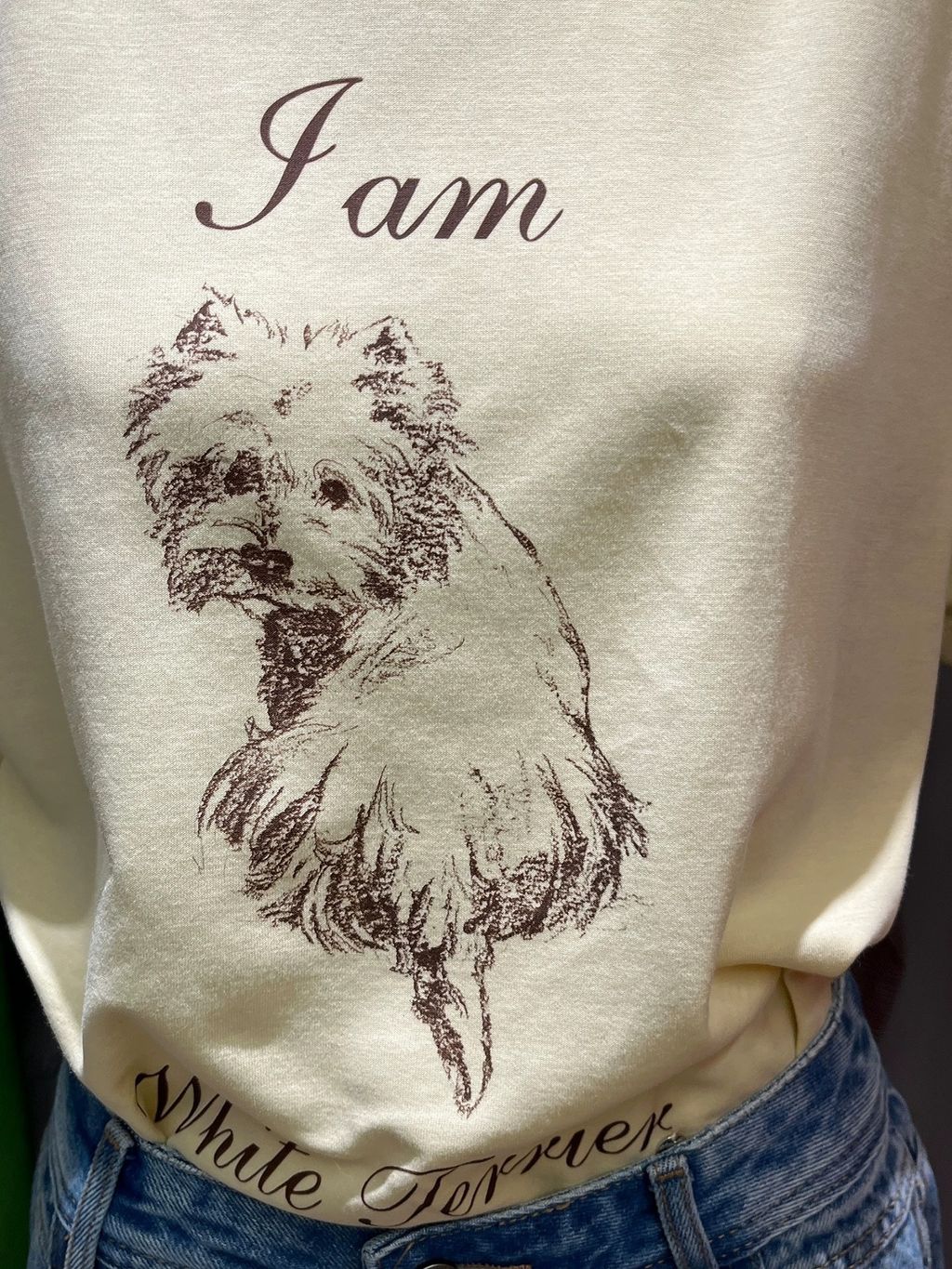 image_B8CE6FE7-63A4-4000-8B81-6B98FC9BE44C_1762227880