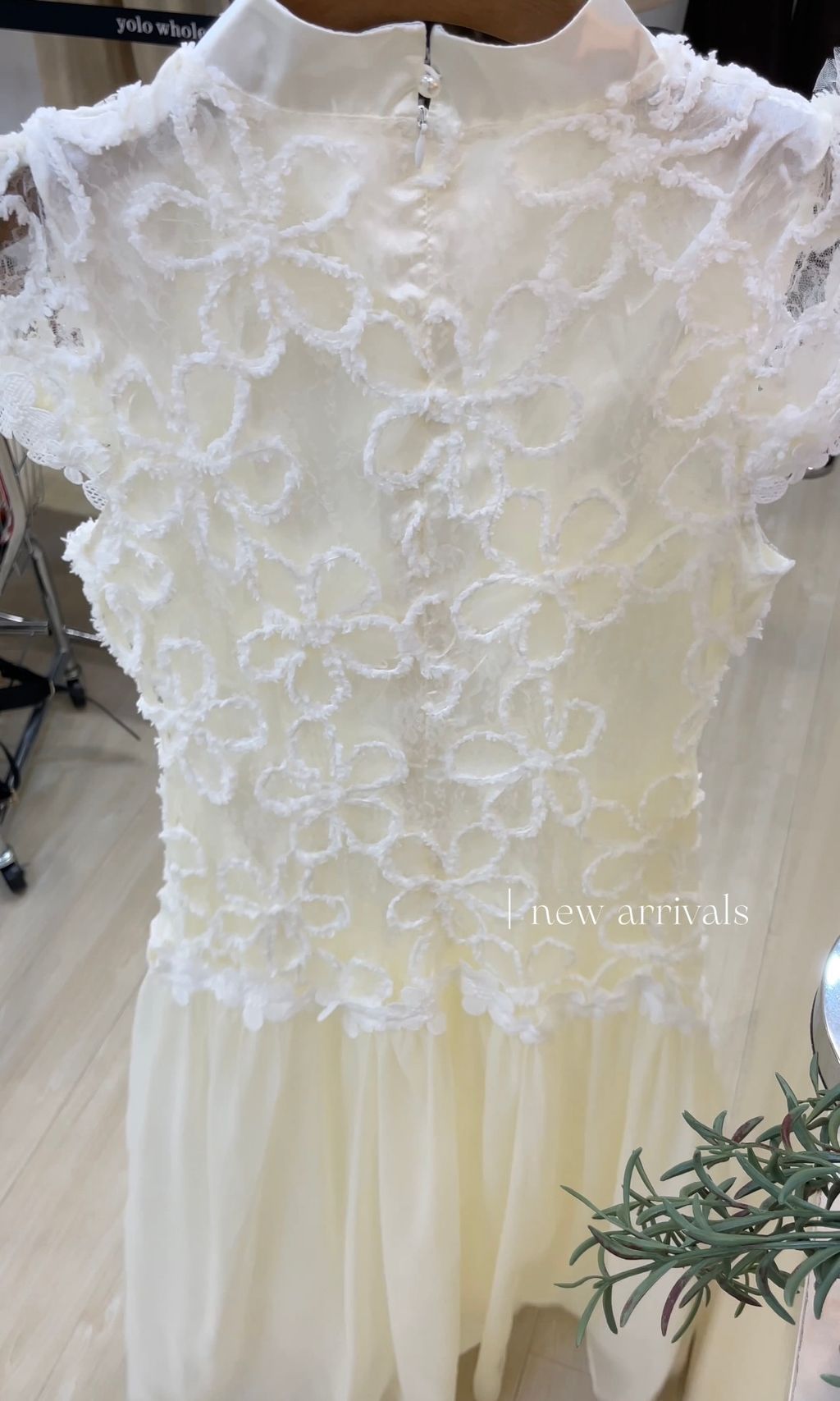 image_C0E260B5-AA53-45A0-8081-595F61A2B9E0_1766054387