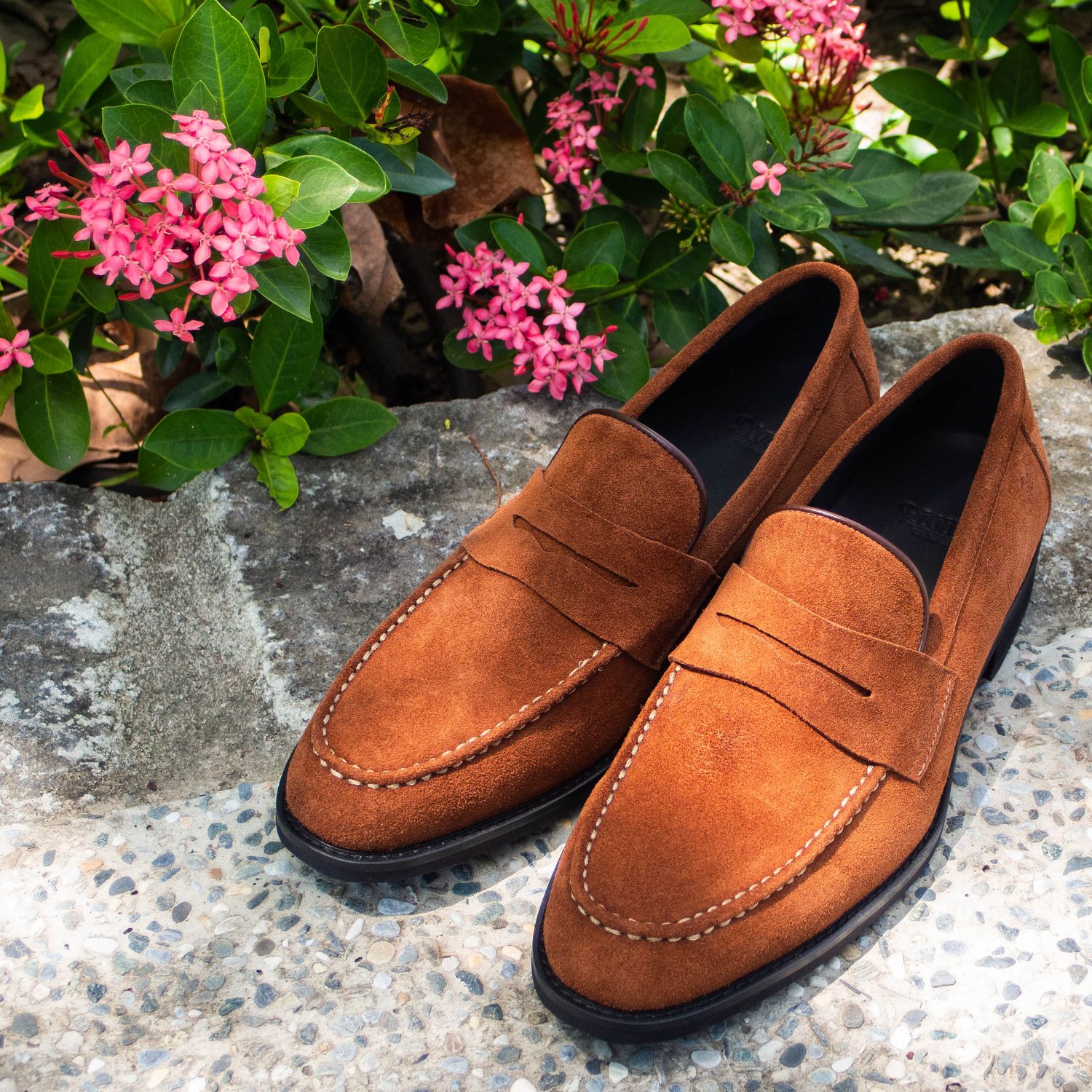 REGENT | 素雅便士樂福