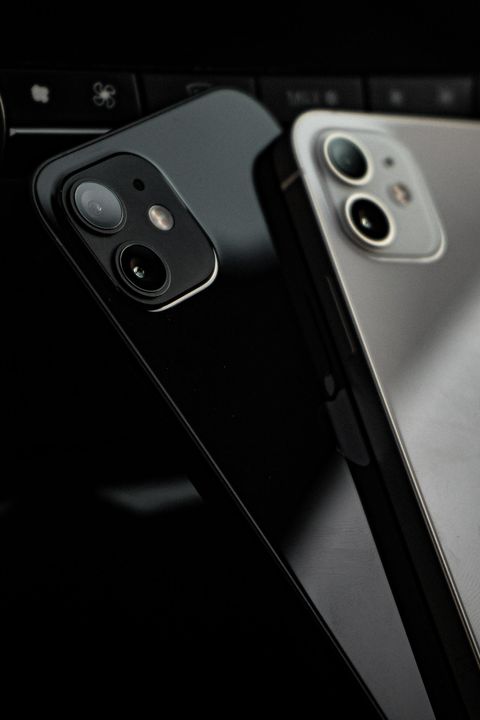 pexels-юрий-лаймин-9555099