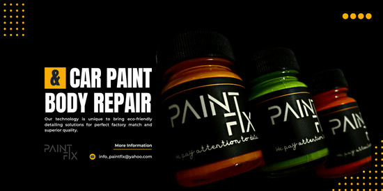 A NEW GEN TOUCH UP PAINT | Paint Fix