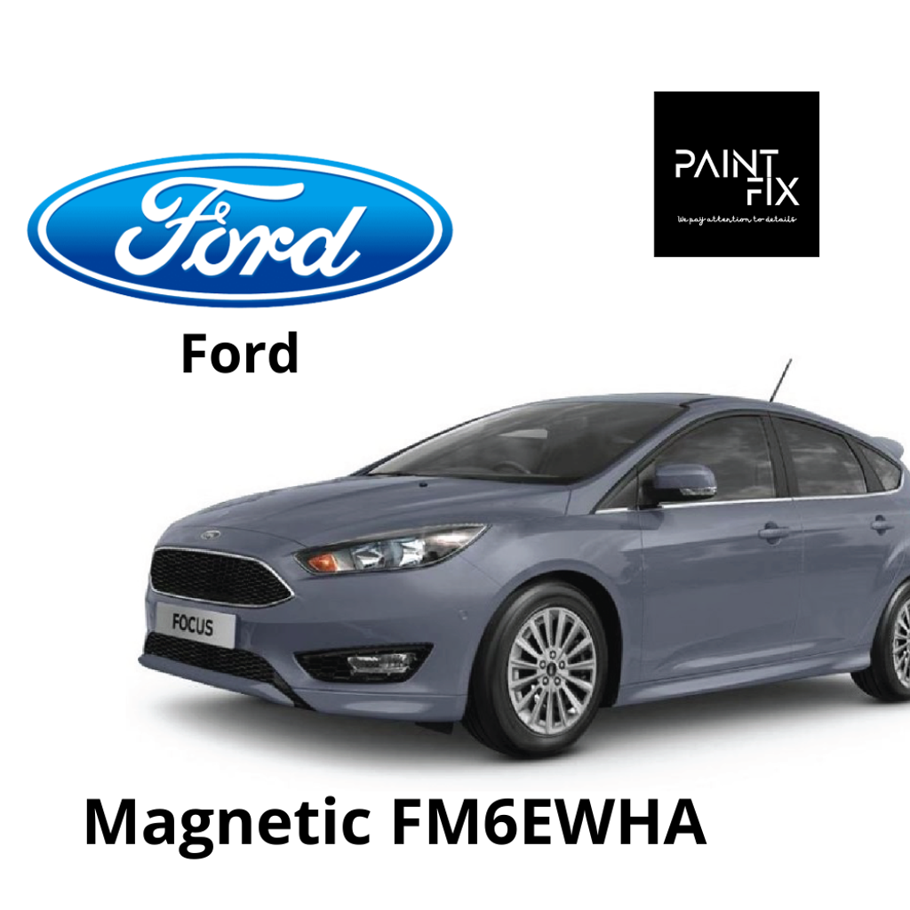 Ford Focus Paint Fix Touch Up Paint