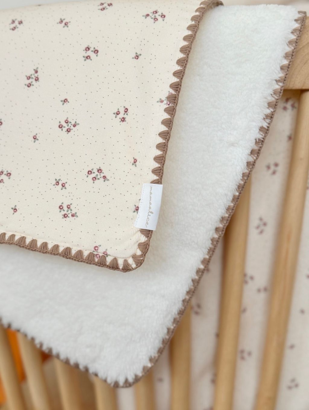 image_61EF3D83-E9F8-4E74-A1BF-743B1D600C45_1761556738