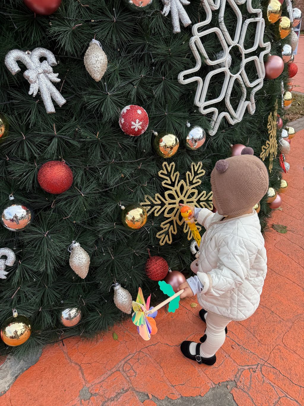 image_C061D2EC-86AA-4BF4-AB69-072DF2A9C5A8_1765683938