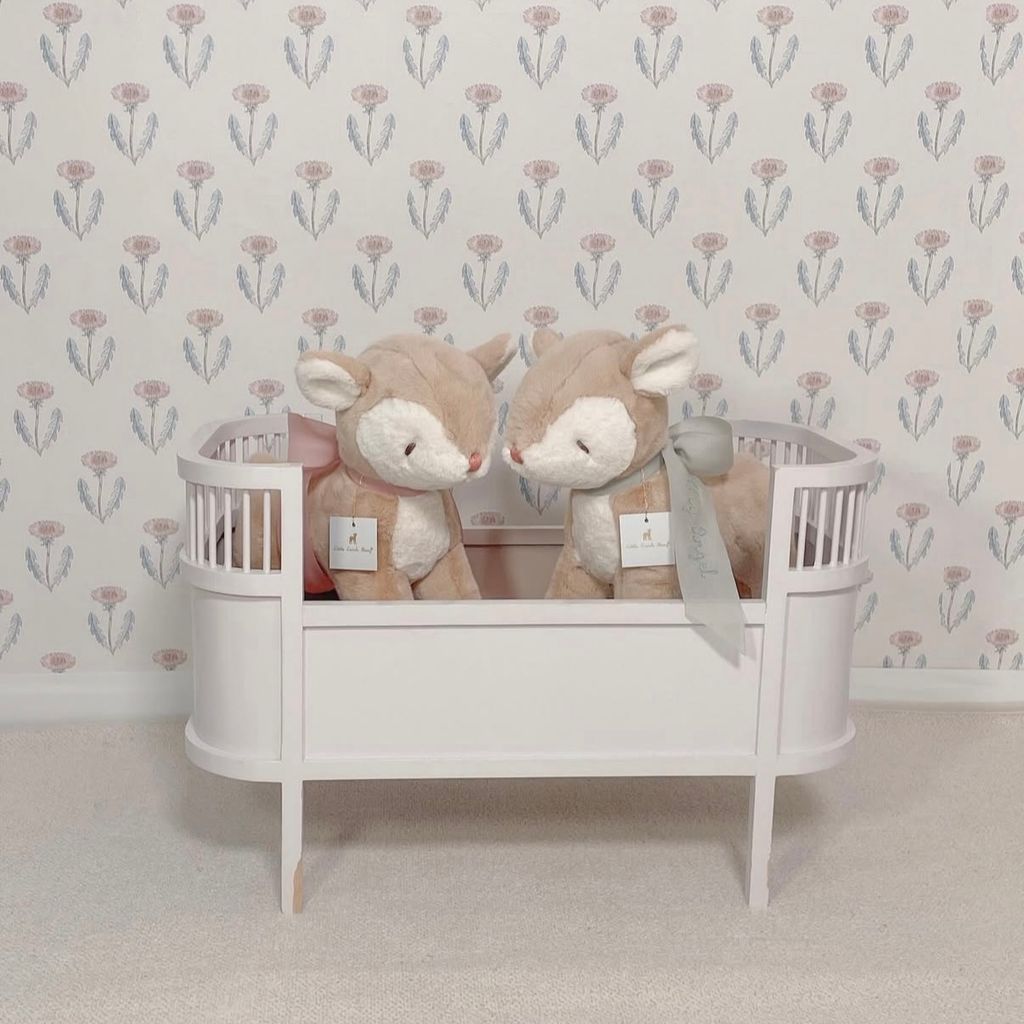 image_CFCEAABB-92CA-4B0E-939B-A7189D49AA29_1765790413