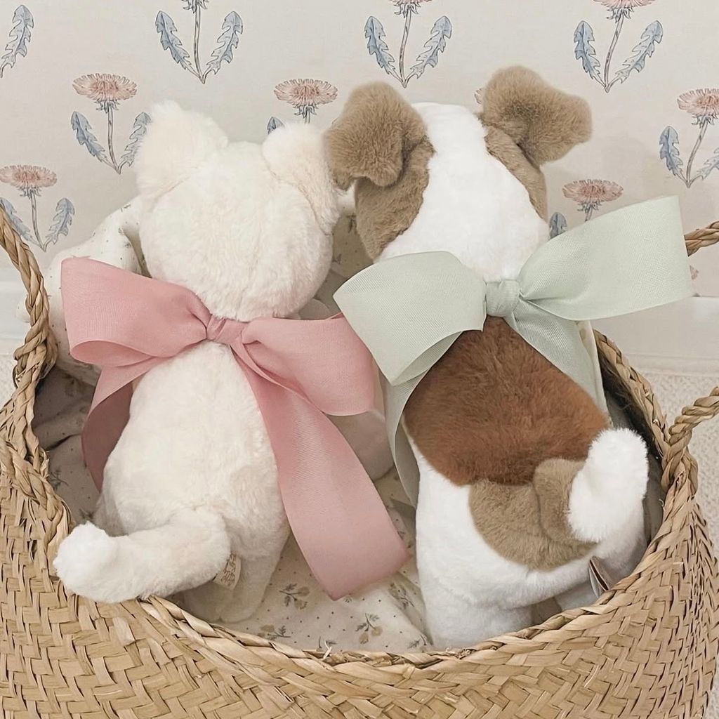 image_F80365AD-9FE7-44B0-B117-574352FBDD2E_1765790413