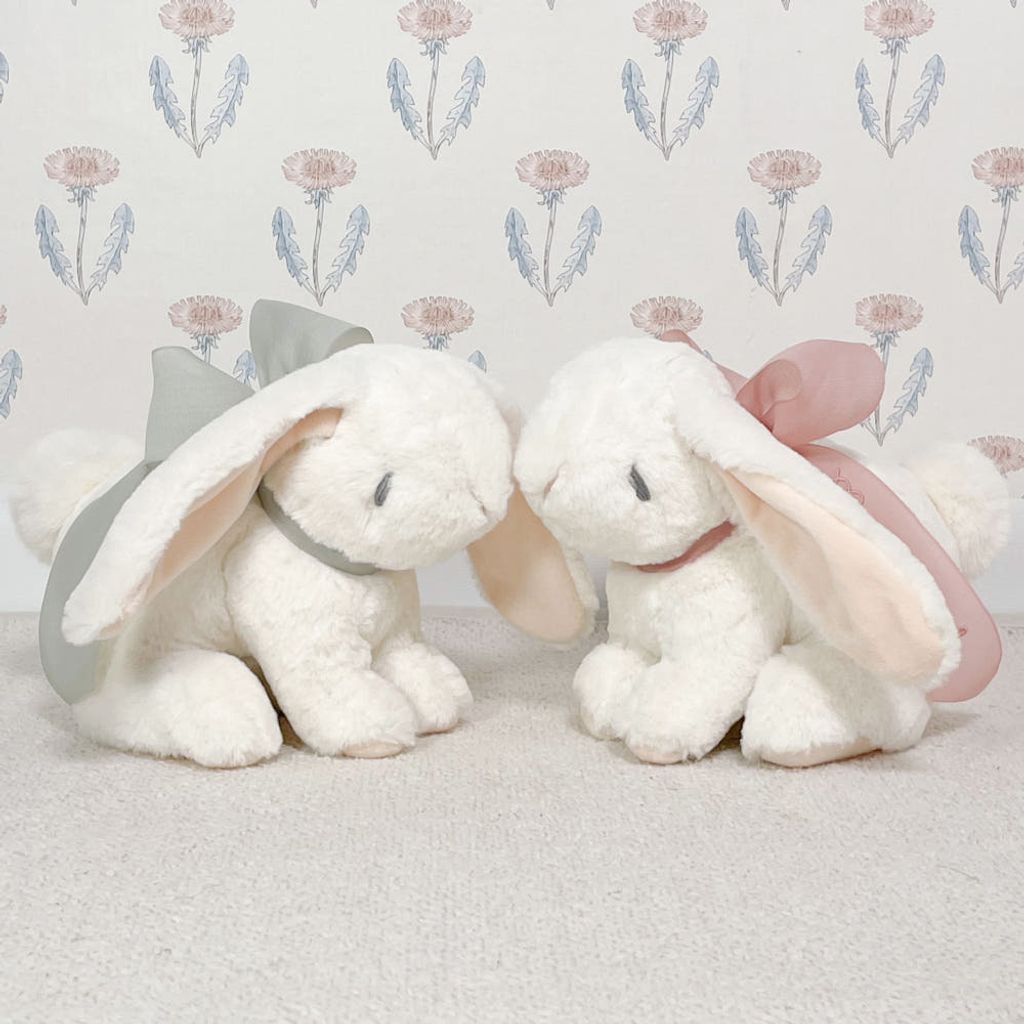 image_F891C73B-361D-4DDF-9DE8-B19044532998_1765792553