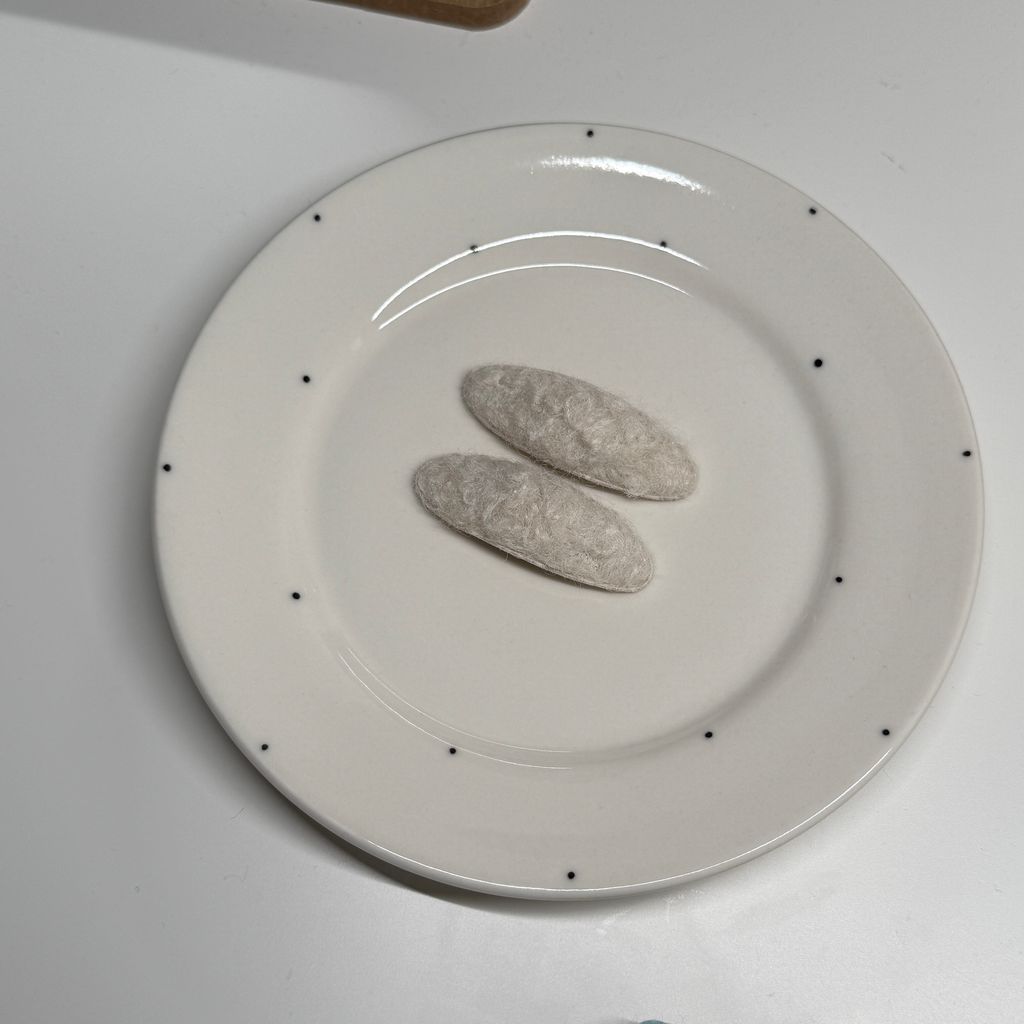 image_FC5F0776-BD73-4060-9C60-2285A8B23429_1769094368