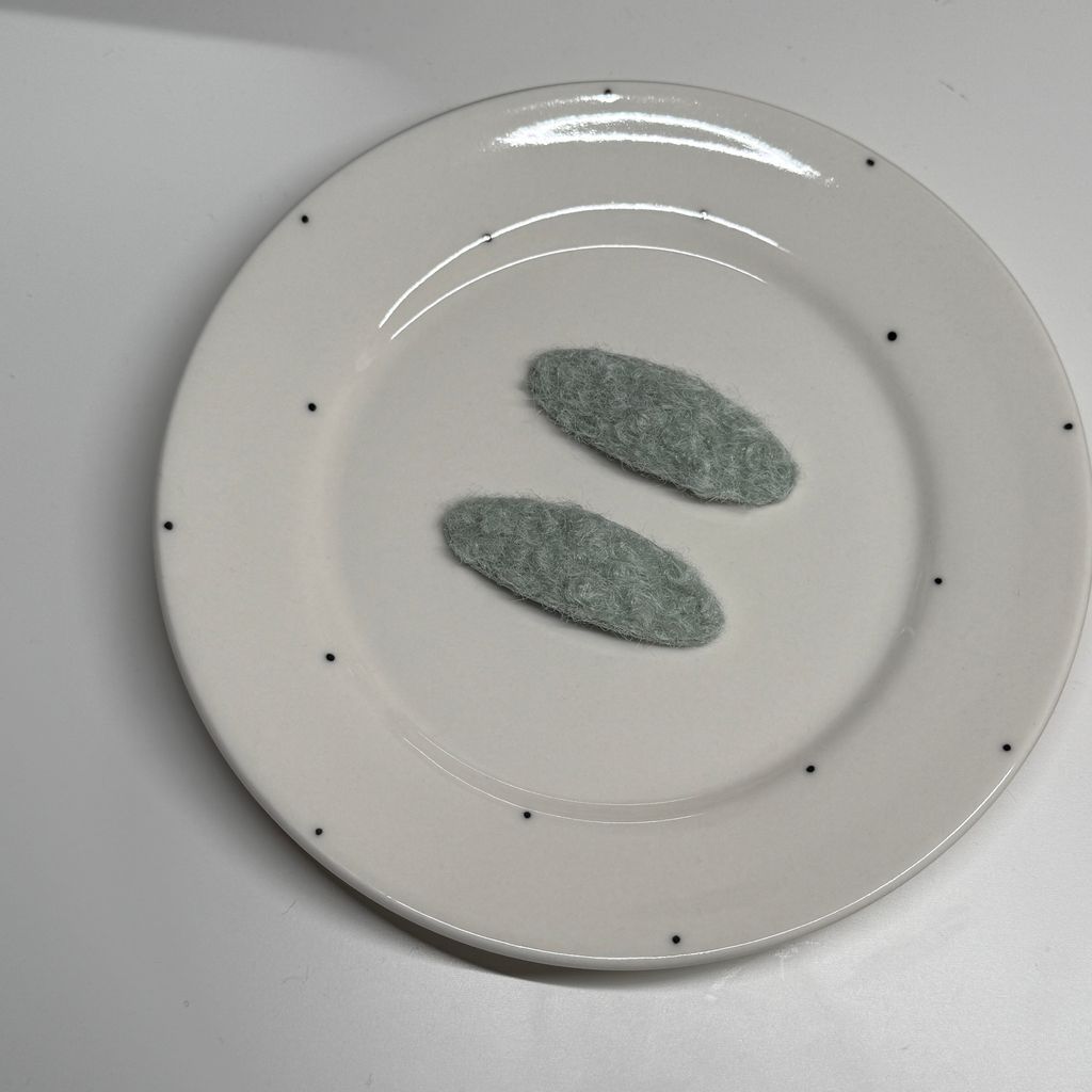 image_E2113093-3399-4548-8281-152C5B099828_1769094385