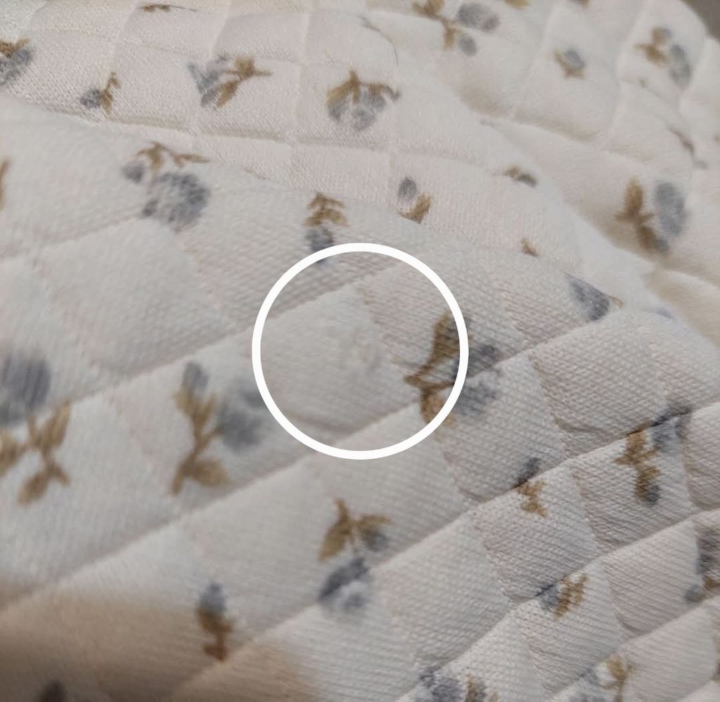 FB_IMG_1737610707180