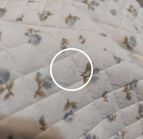 FB_IMG_1737610707180