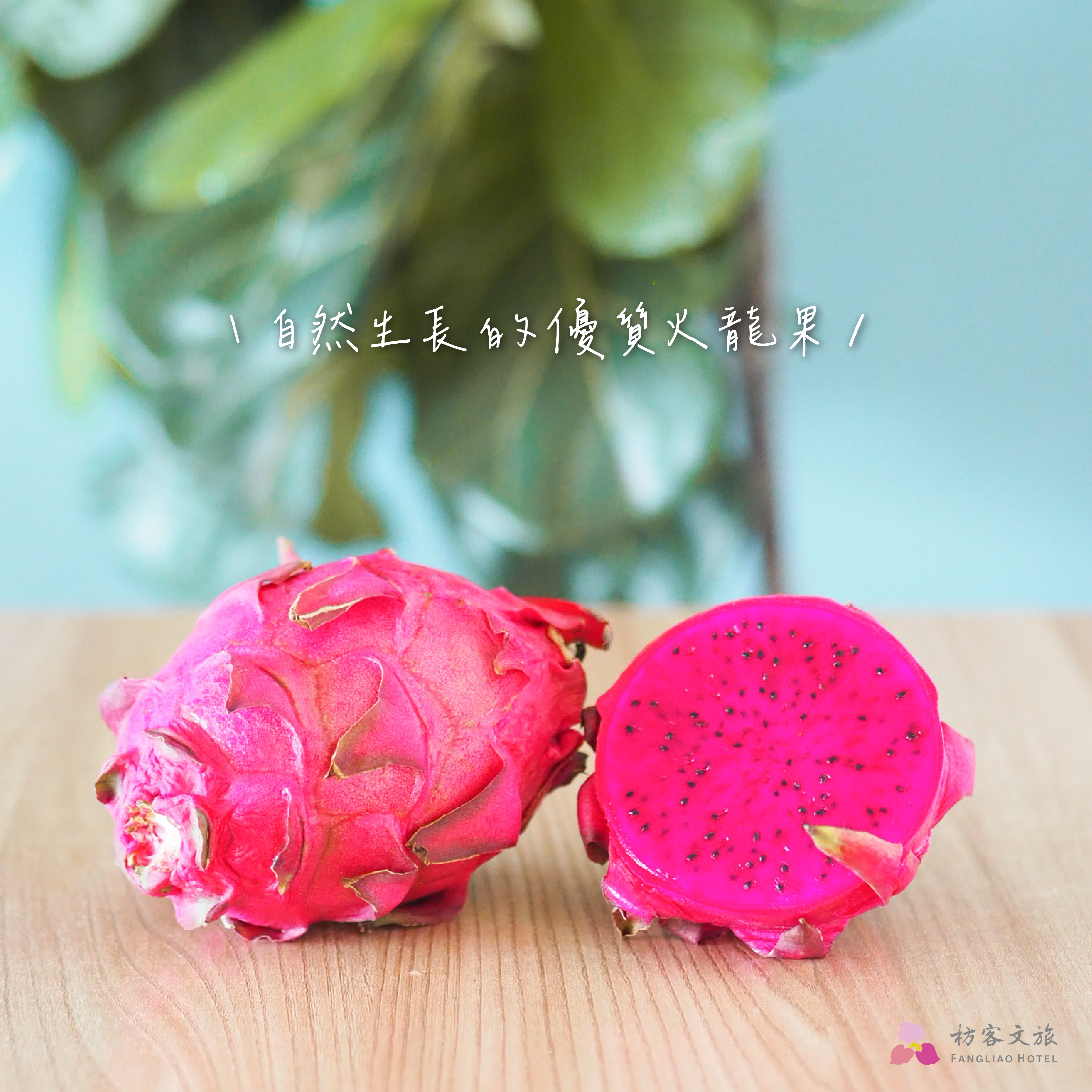 火龍果上架圖 好市集-03 - 複製