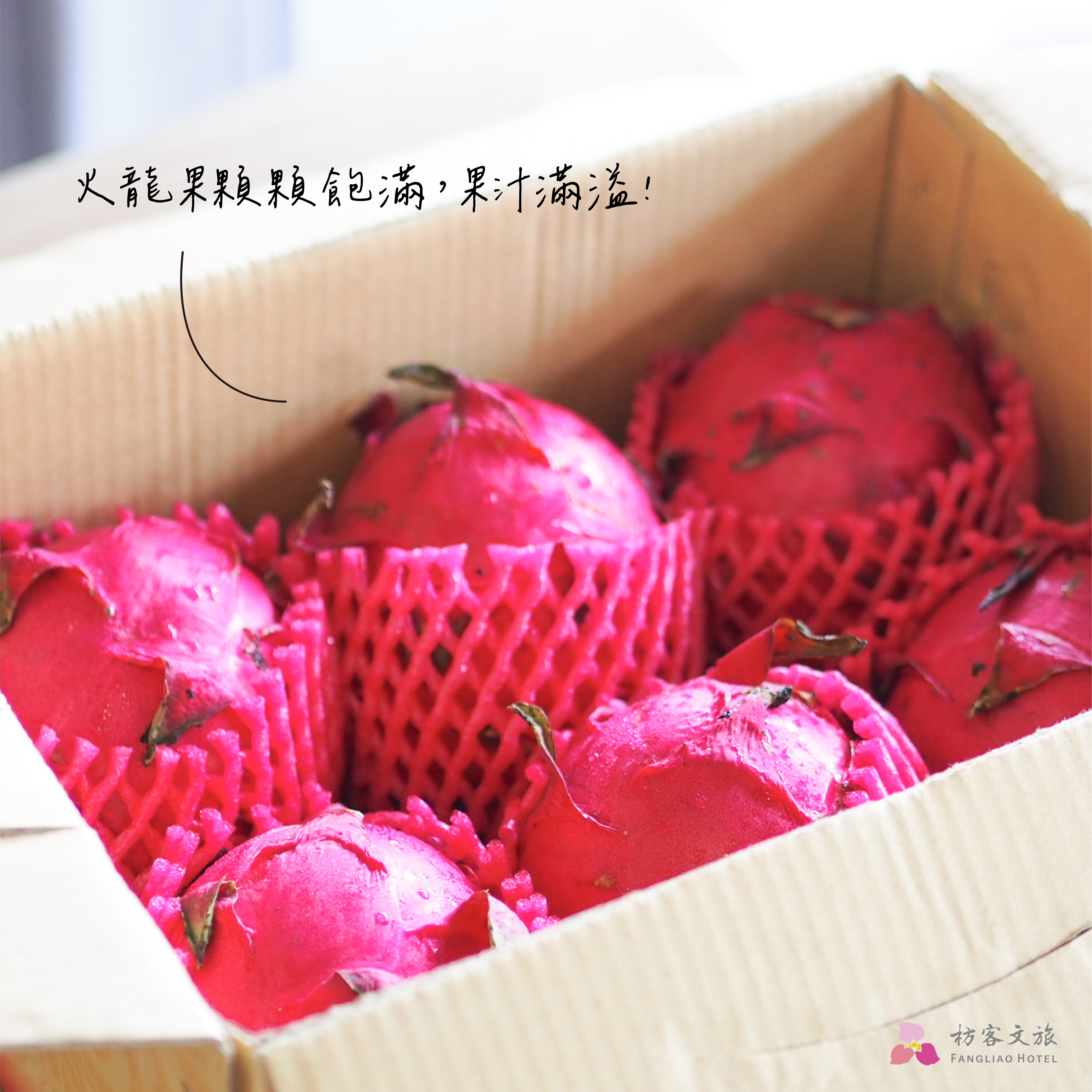 火龍果上架圖 好市集-02