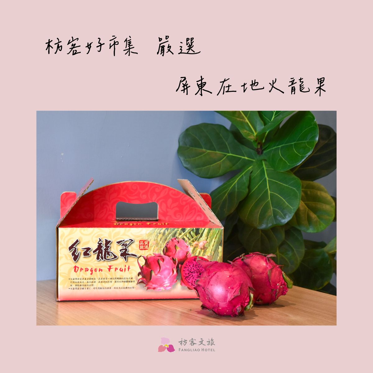 ✨ 枋客嚴選火龍果,開放訂購啦!! ✨ 🍉 5斤禮盒組|含運直送到府 🍉