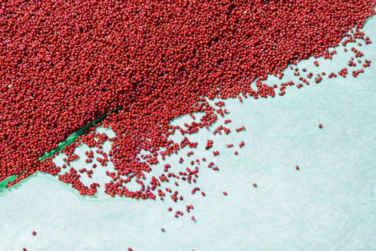 萬丹紅豆鮮乳水滴蛋捲