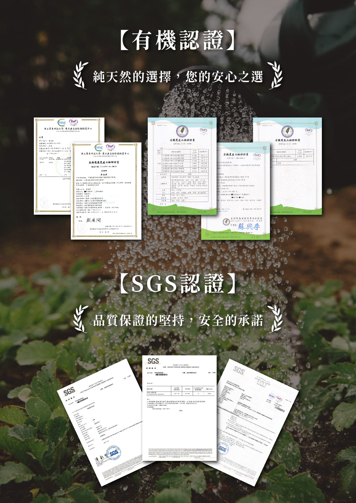 product-2