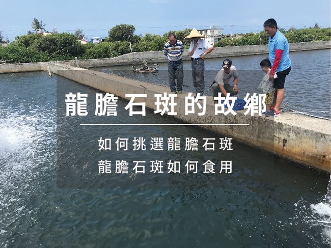枋客好市集 | 🌱 農業小百科｜探索在地農產・認識農業知識・發現食材好故事 📚✨ - 