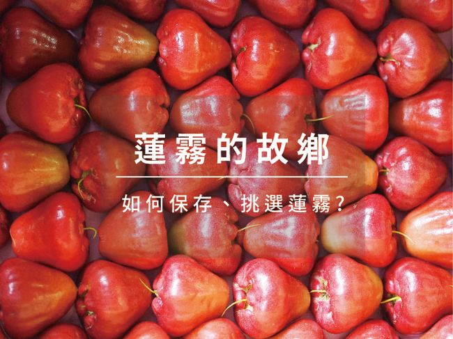 枋客好市集 | 🌱 農業小百科｜探索在地農產・認識農業知識・發現食材好故事 📚✨ - 