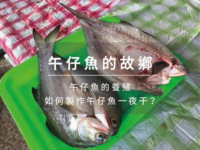 枋客好市集 | 🌱 農業小百科｜探索在地農產・認識農業知識・發現食材好故事 📚✨ - 