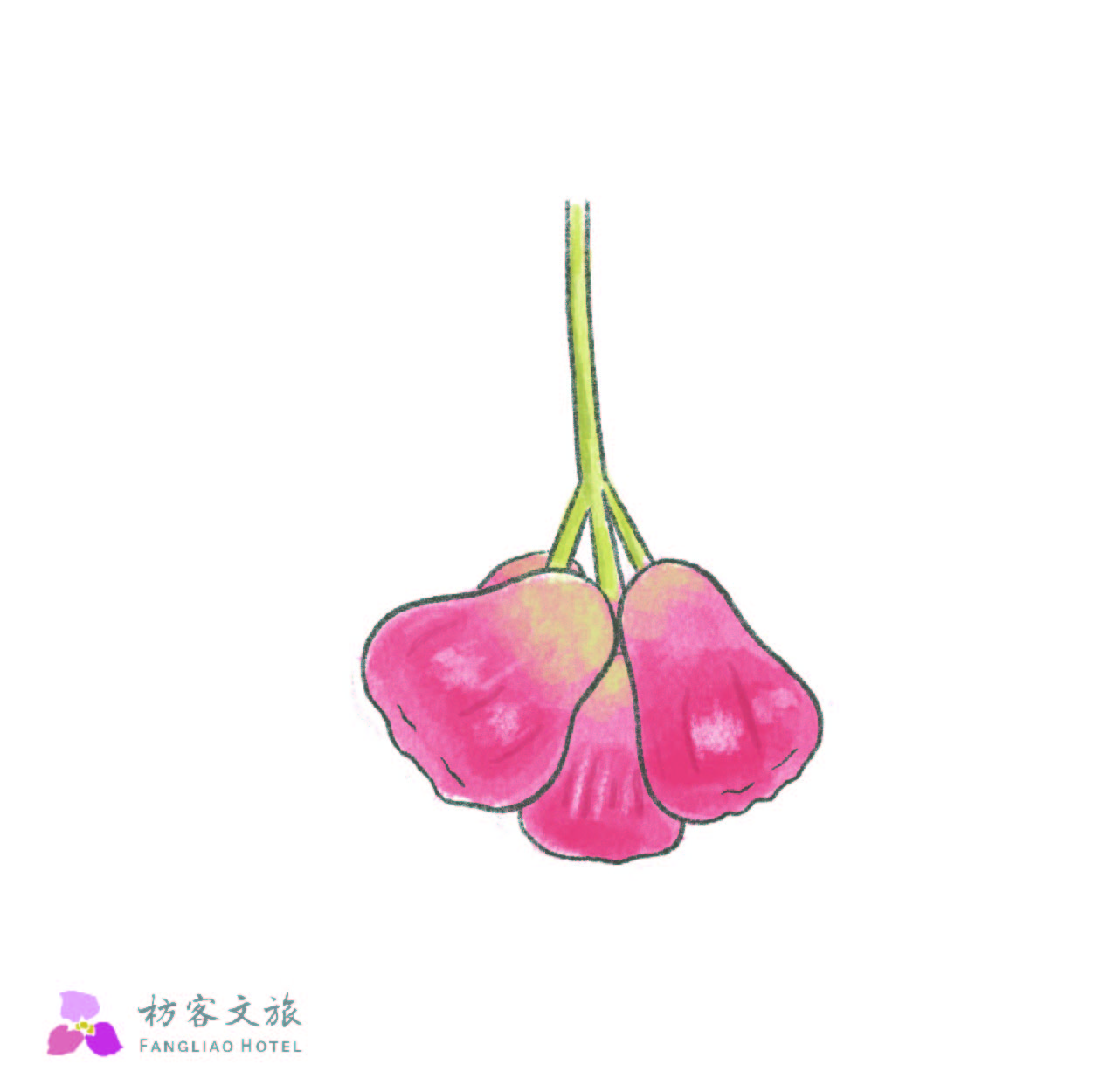 蓮霧的一生-11