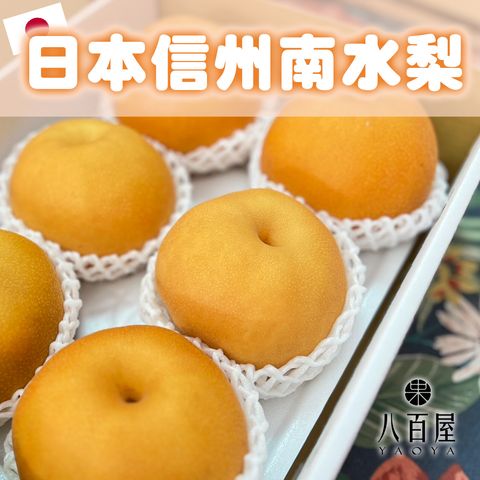 日本南水梨1