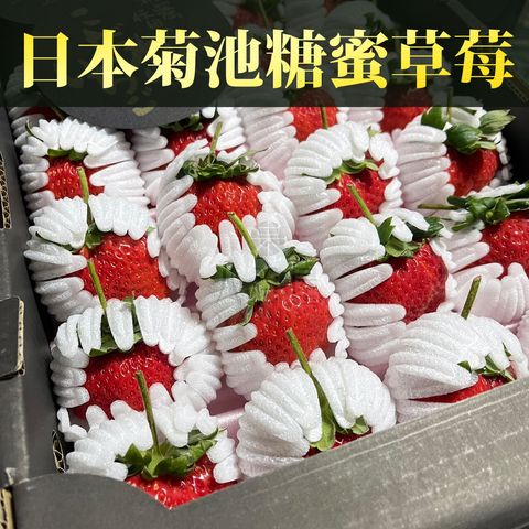 青森蜜富士 拷貝